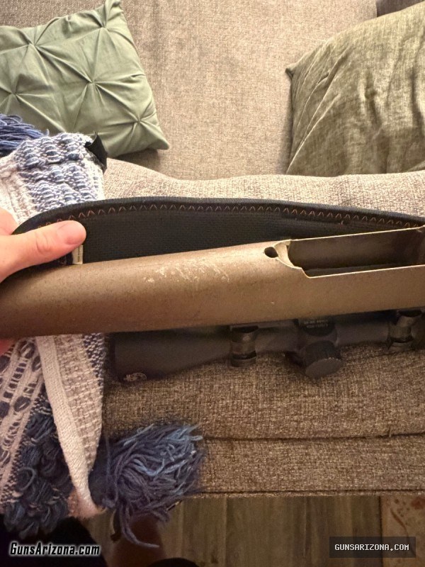 Ruger 270