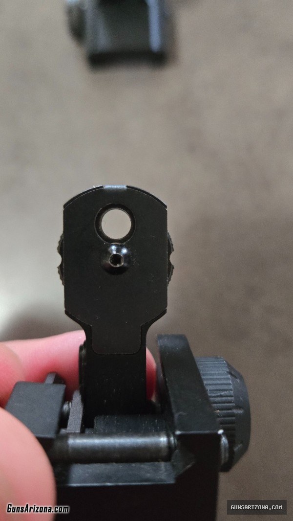 Flip up iron sights