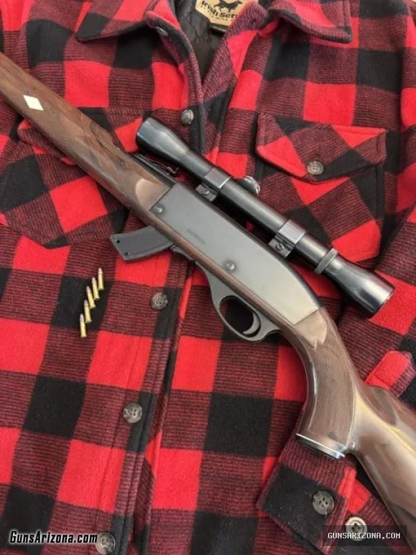 Remington Nylon Mohawk 10-C with Weaver K4 scope and spare mag