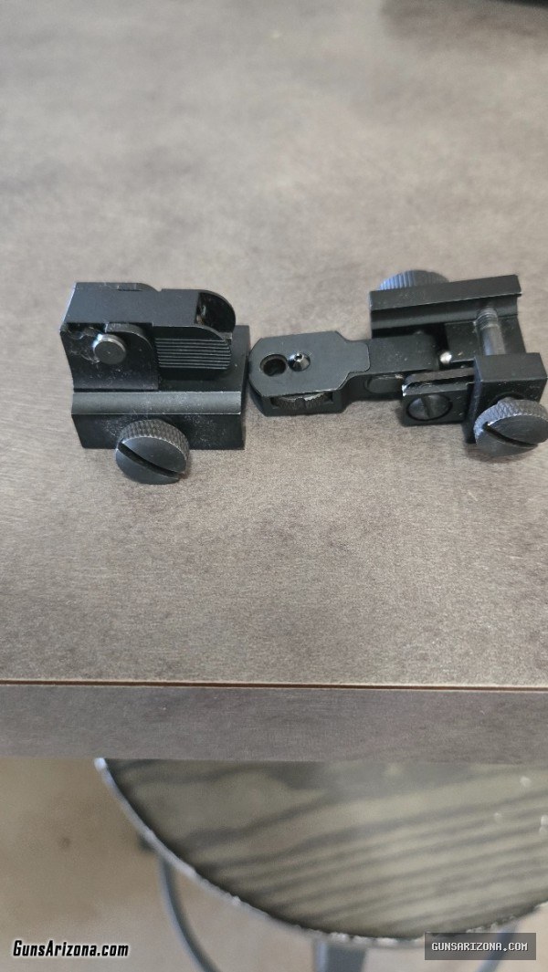 Flip up iron sights