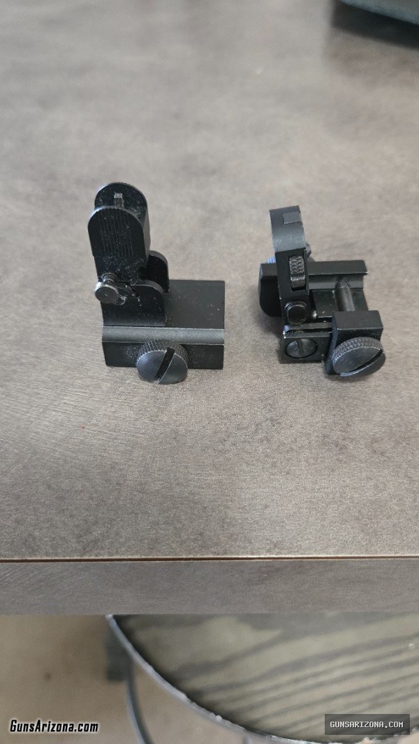 Flip up iron sights