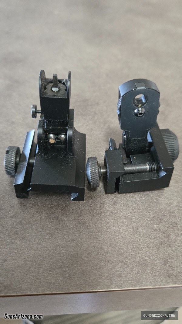 Flip up iron sights