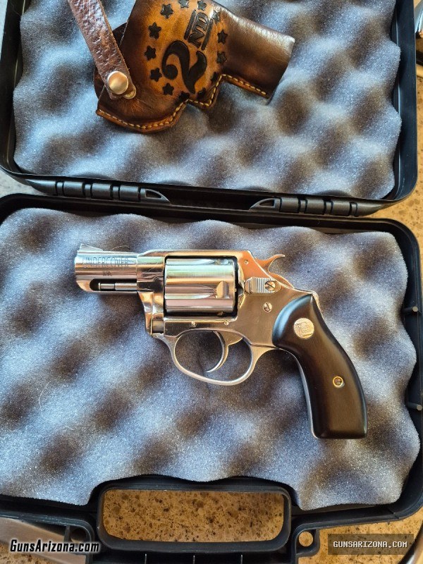 Charter arms 38 special undercover