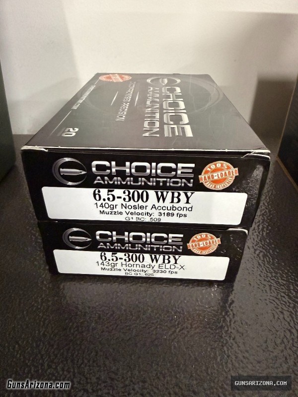 6.5-300 WBY Ammo