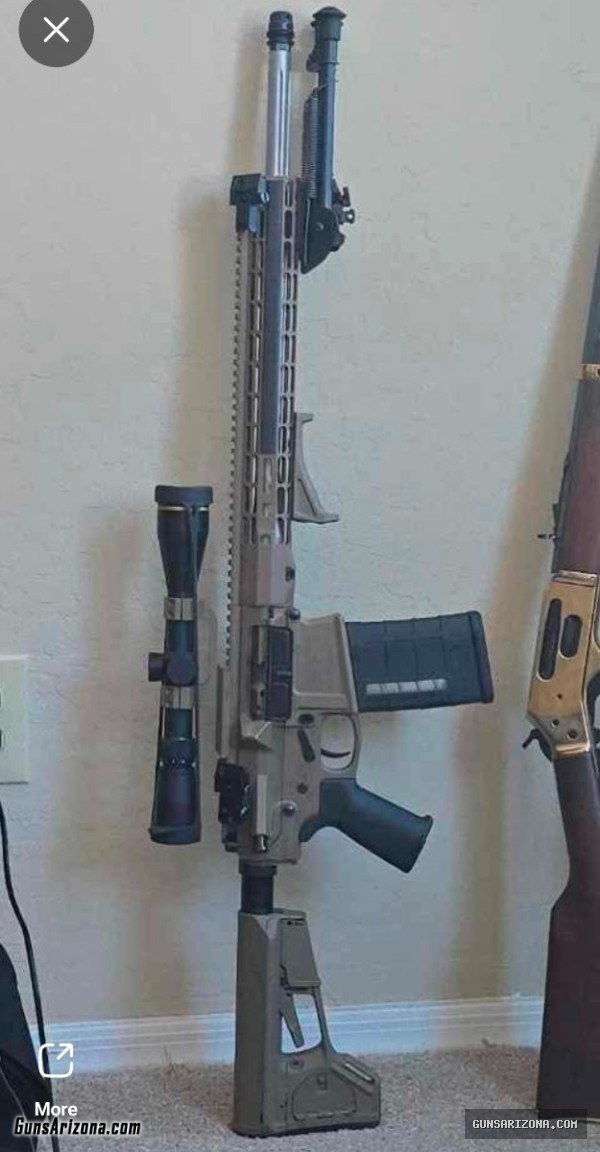 Aero precision 308 cal AR10 with leopold FX freedom.