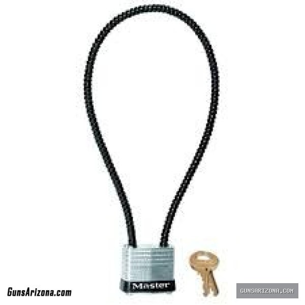 20 Gun Locks