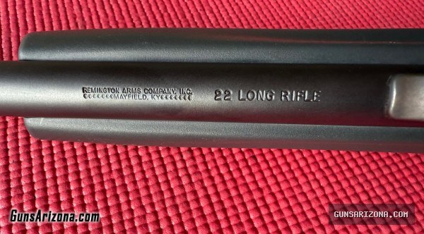 Remington Model 597 22lr detachable mag