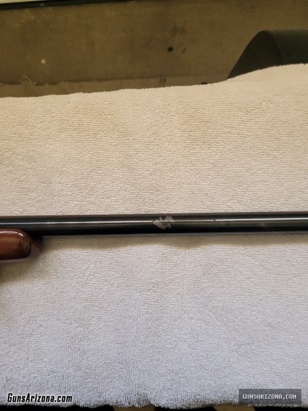Remington 700 25-06
