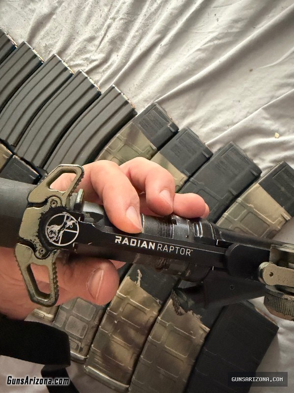 AR-15 with ammo