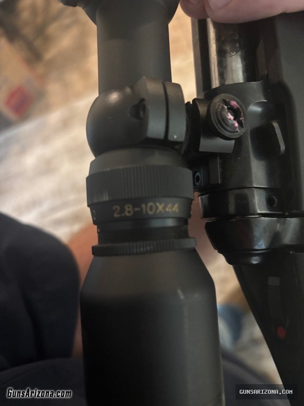 Savage 308
