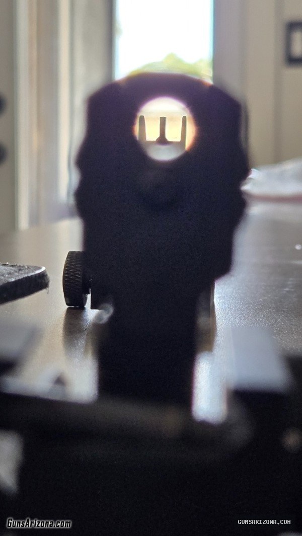 Flip up iron sights