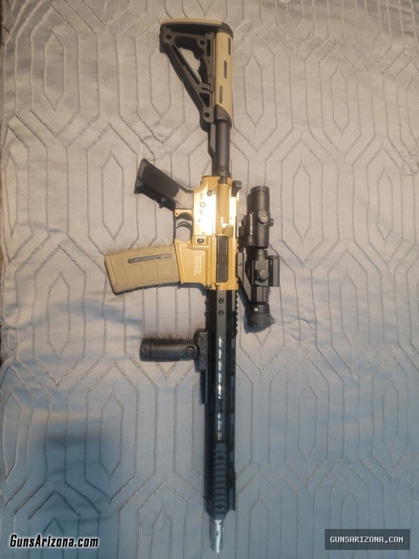 Custom Build 556