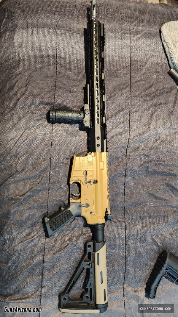 Custom Build 556