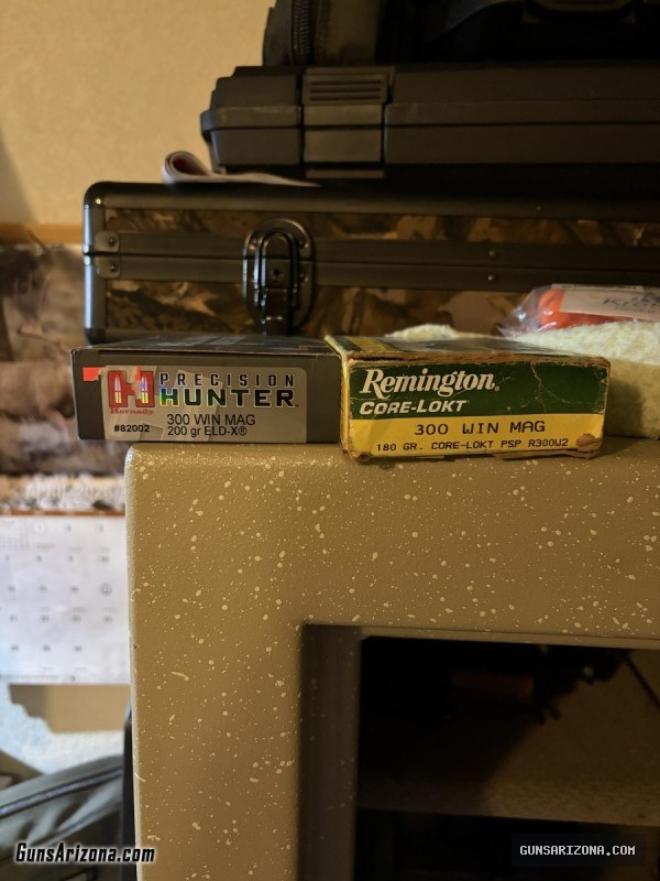 M14, Remington 700 in 300WM