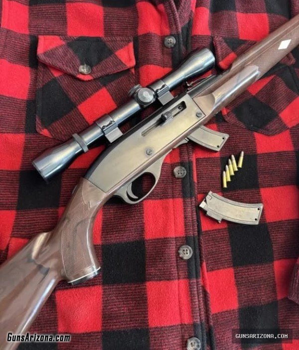Remington Nylon Mohawk 10-C with Weaver K4 scope and spare mag