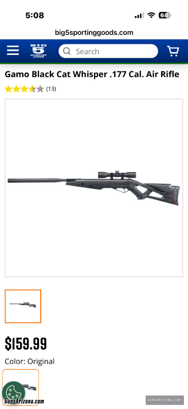Gammo black cat pellet rifle