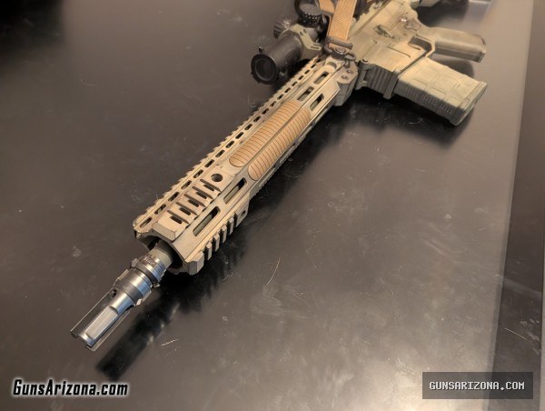 Custom built AR 10