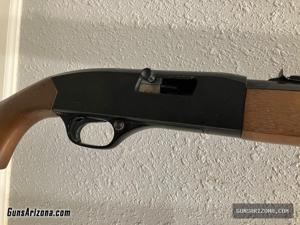 Winchester 190 .22LR