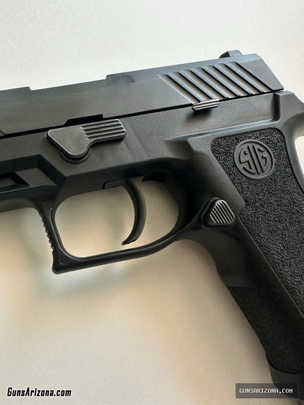 Sig Sauer P320 9mm, 2 Mags, Holster + More