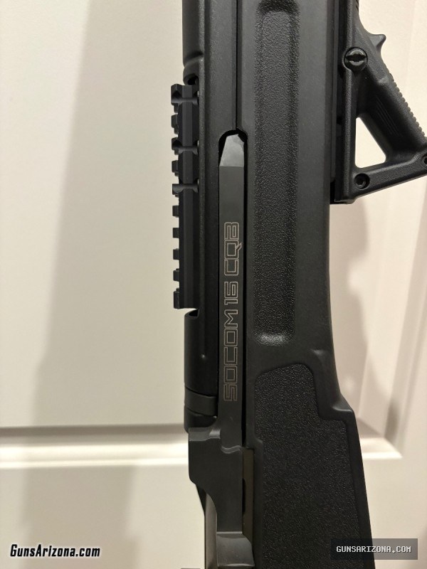 Springfield Armory M1A