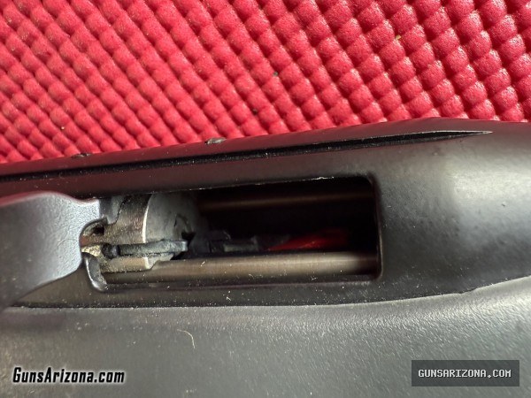 Remington Model 597 22lr detachable mag