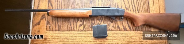 Remington 742 in 308