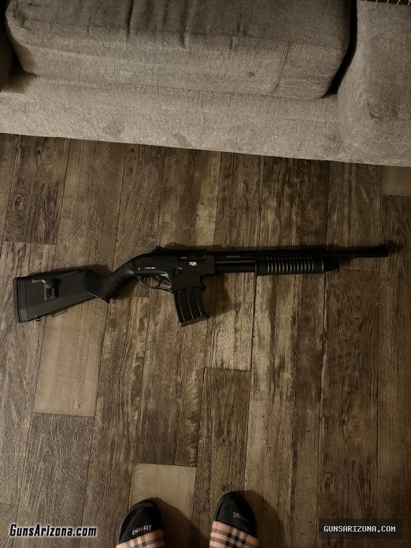 Shotgun 12ga