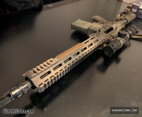 Custom built AR 10