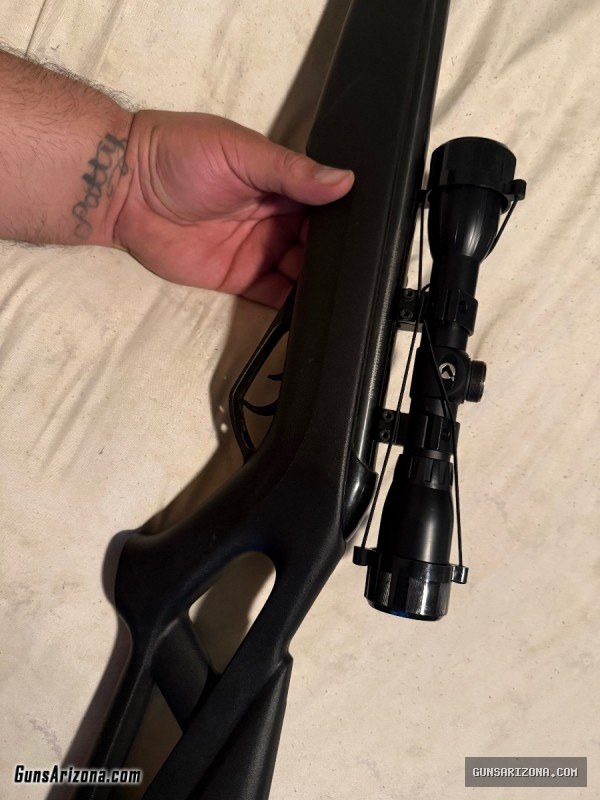 Gammo black cat pellet rifle