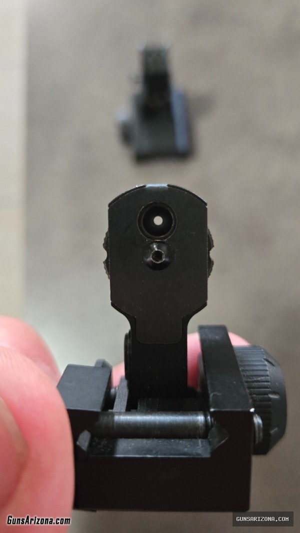 Flip up iron sights
