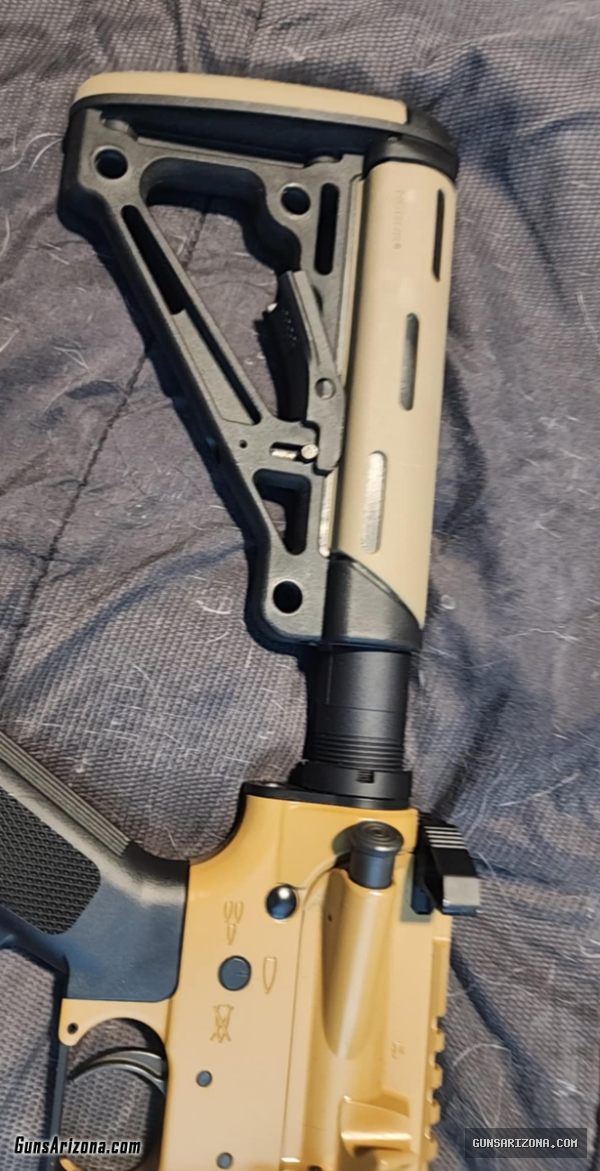 Custom Build 556