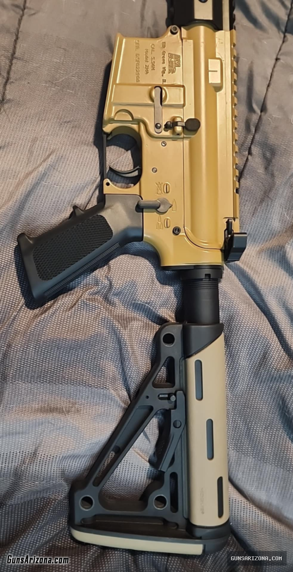 Custom Build 556