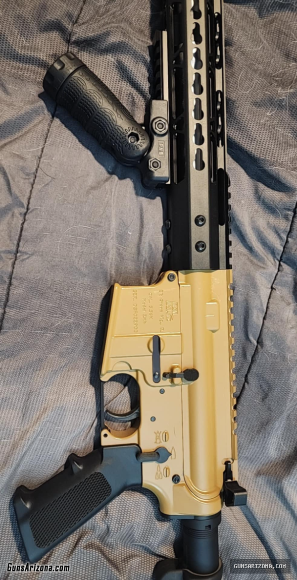 Custom Build 556