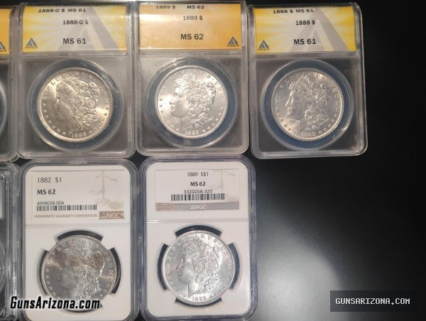Morgan Silver Dollar Collection (SILVER) 133 COINS! 3 KILOS  7 POUNDS