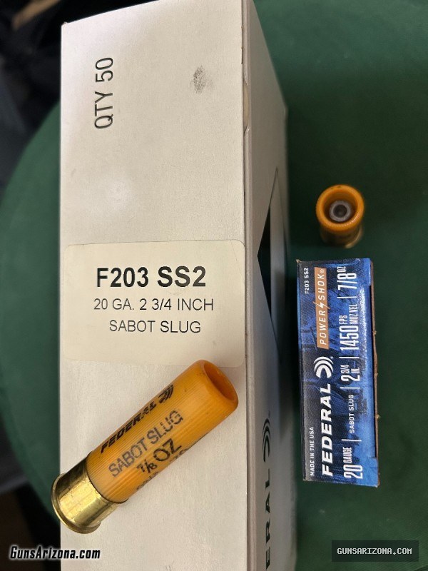 20ga Sabot Slug (New 50rd Brick)