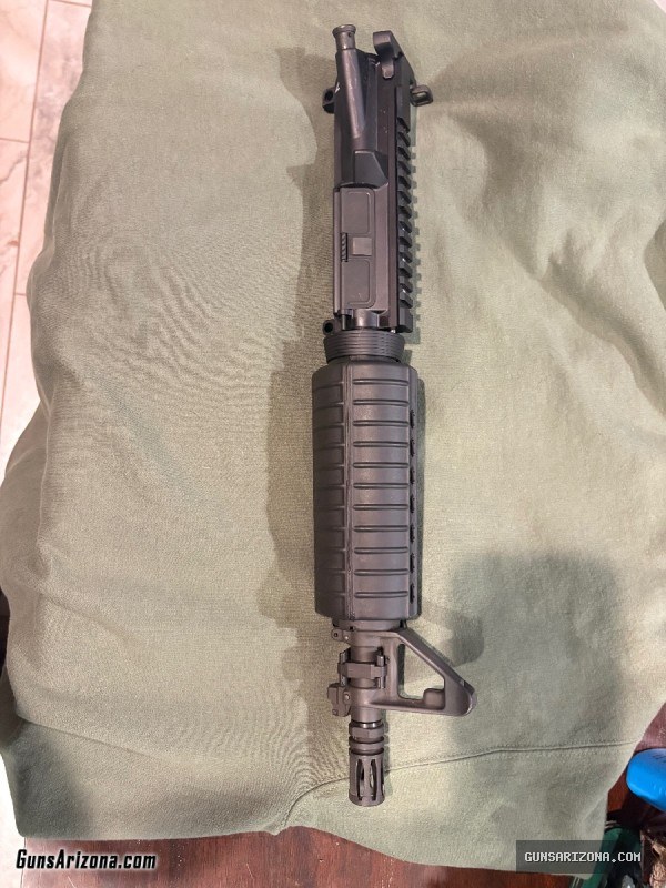 Colt