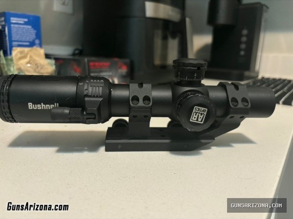 Bushnell AR LPVO and mount