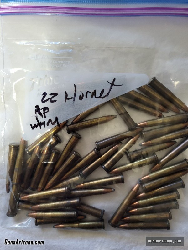 .22 Hornet