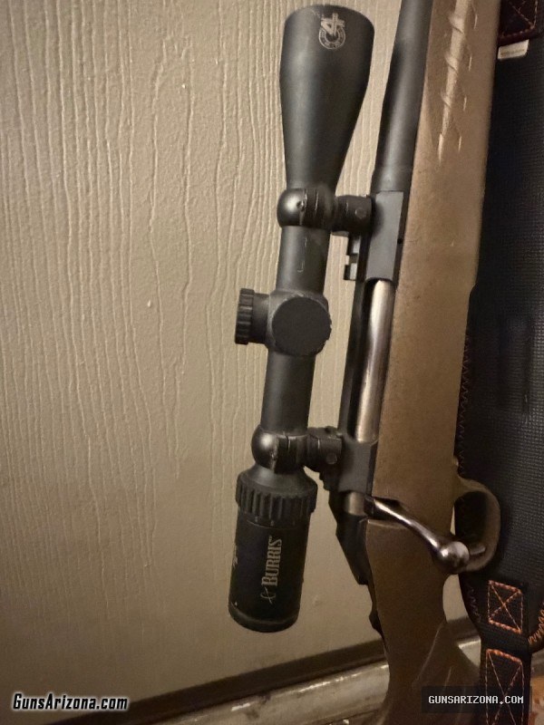 Ruger 270