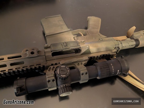 Custom built AR 10