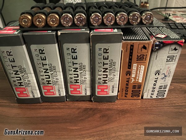 300 wm ammo