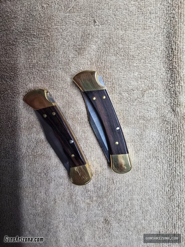 BUCK 110