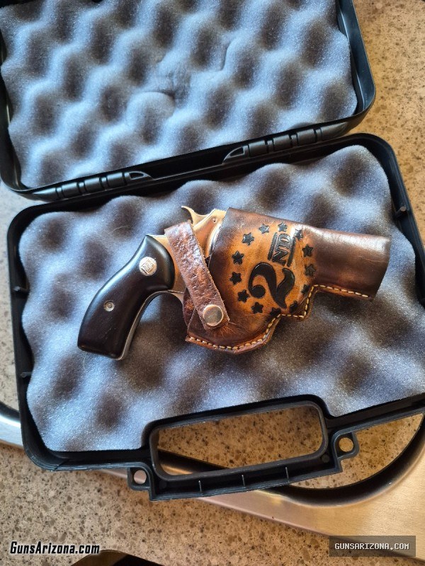 Charter arms 38 special undercover