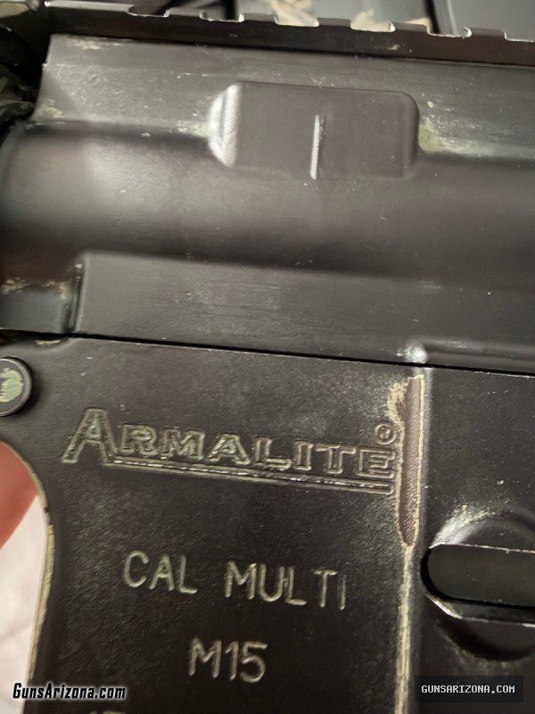 AR-15 with ammo