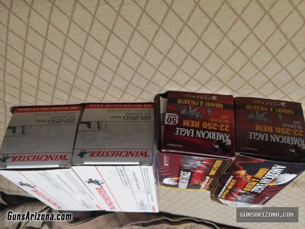 22-250. Ammo