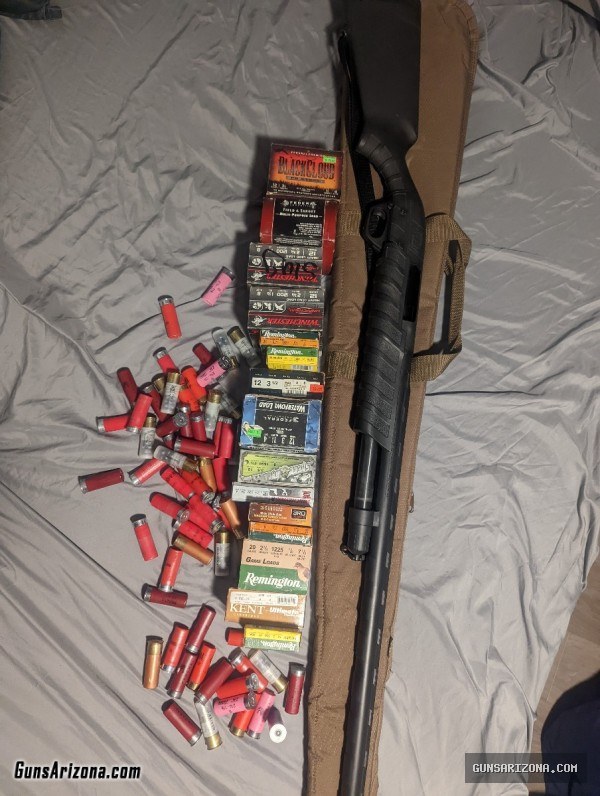 Rifle, Shotgun, and gun cabinet