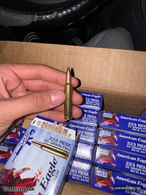 .223 and 9mm ammo