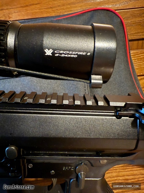 AR10 .308 + case + ammo + mags
