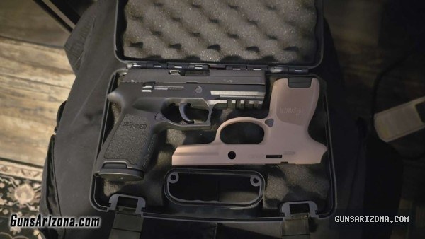 P250 45 acp