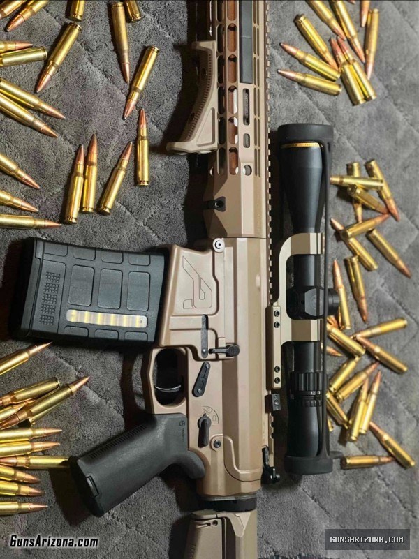 Aero precision 308 cal AR10 with leopold FX freedom.